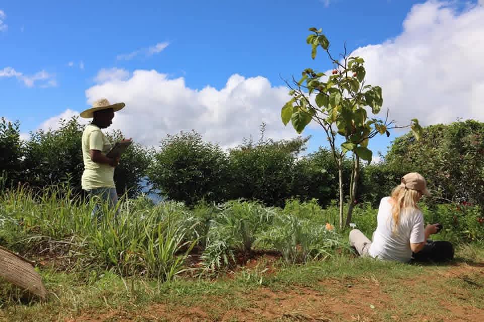 Farm photoshoot