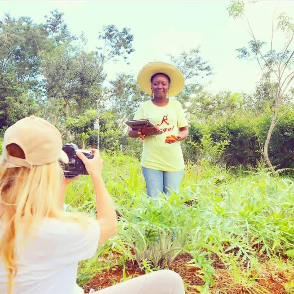 Farm visit